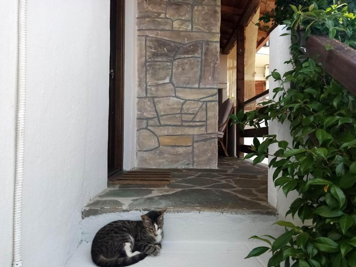 Petrino1880 Sea-Vacation Apartment In Chalkidiki Áyios Nikólaos Ngoại thất bức ảnh